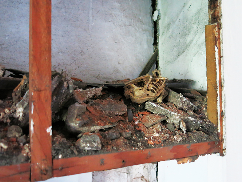 ゴッホの寝室の一番上の戸棚。小動物の骸骨が見える。 