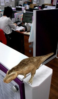 クリステ編集部に出現したティラノサウルス。恐竜とツーショットの自撮りも可能。