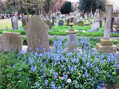 Brockley & Ladywell Cemetery