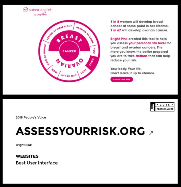 AssessYourRisk.org