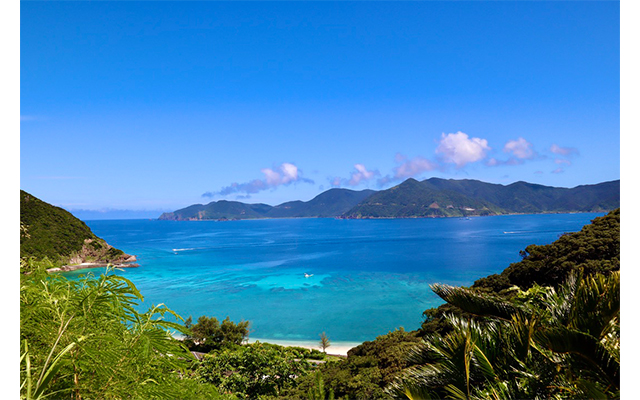 世界自然遺産登録記念（目前）！「奄美大島の自然と文化を丸ごと体感